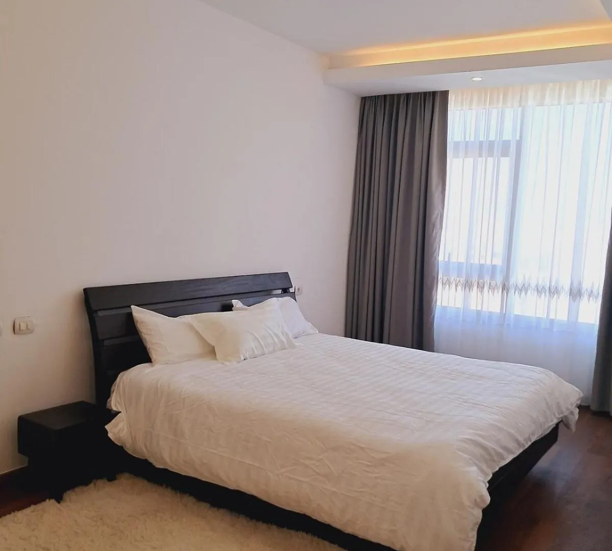 Exquisite Sanctuary Of Luxury Bole Apartment Addis Ababa